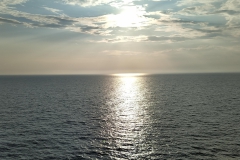 IMG_20210727_191505_1_FL4