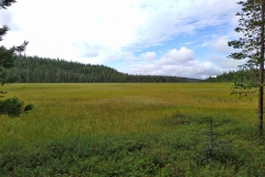 IMG_20210813_111239_Pur1