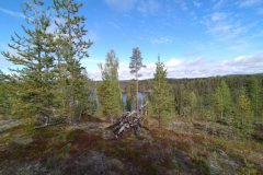 IMG_20210813_113216_Pur2