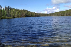 IMG_20210813_114206_1_Pur4