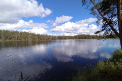 IMG_20210813_125825_Pur5