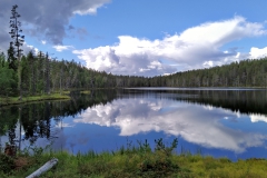 IMG_20210813_134323_Pur6