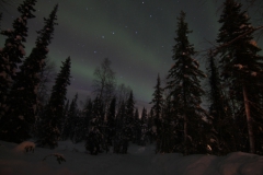 northernlights_6662