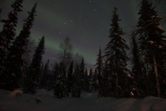 northernlights_6663