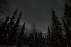 northernlights_6664