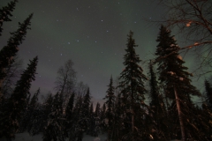 northernlights_6669