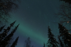 northernlights_6672