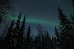 northernlights_6674