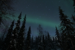 northernlights_6675