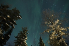northernlights_6681