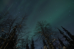 northernlights_6683