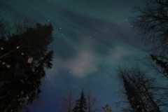 northernlights_6687