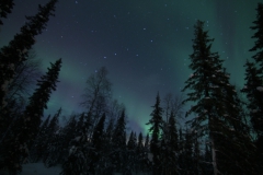 northernlights_6688