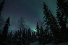 northernlights_6689