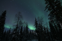 northernlights_6690