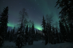 northernlights_6691