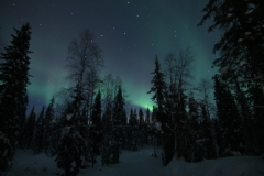 northernlights_6692