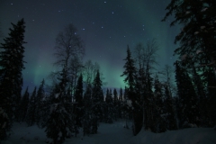 northernlights_6693