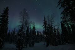 northernlights_6694