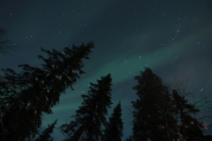 northernlights_6695