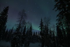 northernlights_6696
