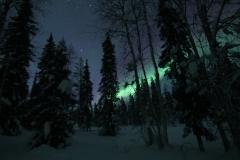 northernlights_6697