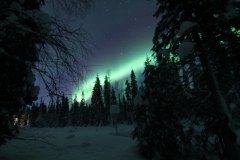 northernlights_6698