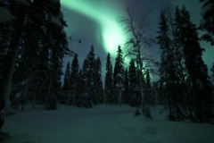 northernlights_6703