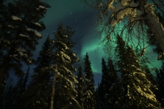 northernlights_6714