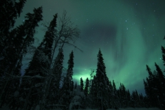 northernlights_6726