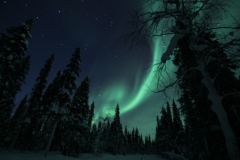 northernlights_6751