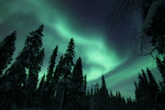 northernlights_6767