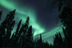 northernlights_6768