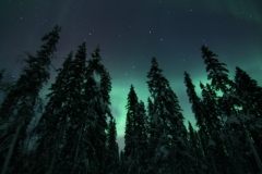 northernlights_6770