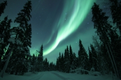 northernlights_6774