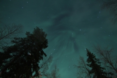 northernlights_6782