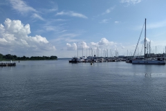 IMG_20210726_164957_bT21