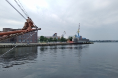 IMG_20210725_103614_bT1