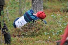 Treehugging_WM_12